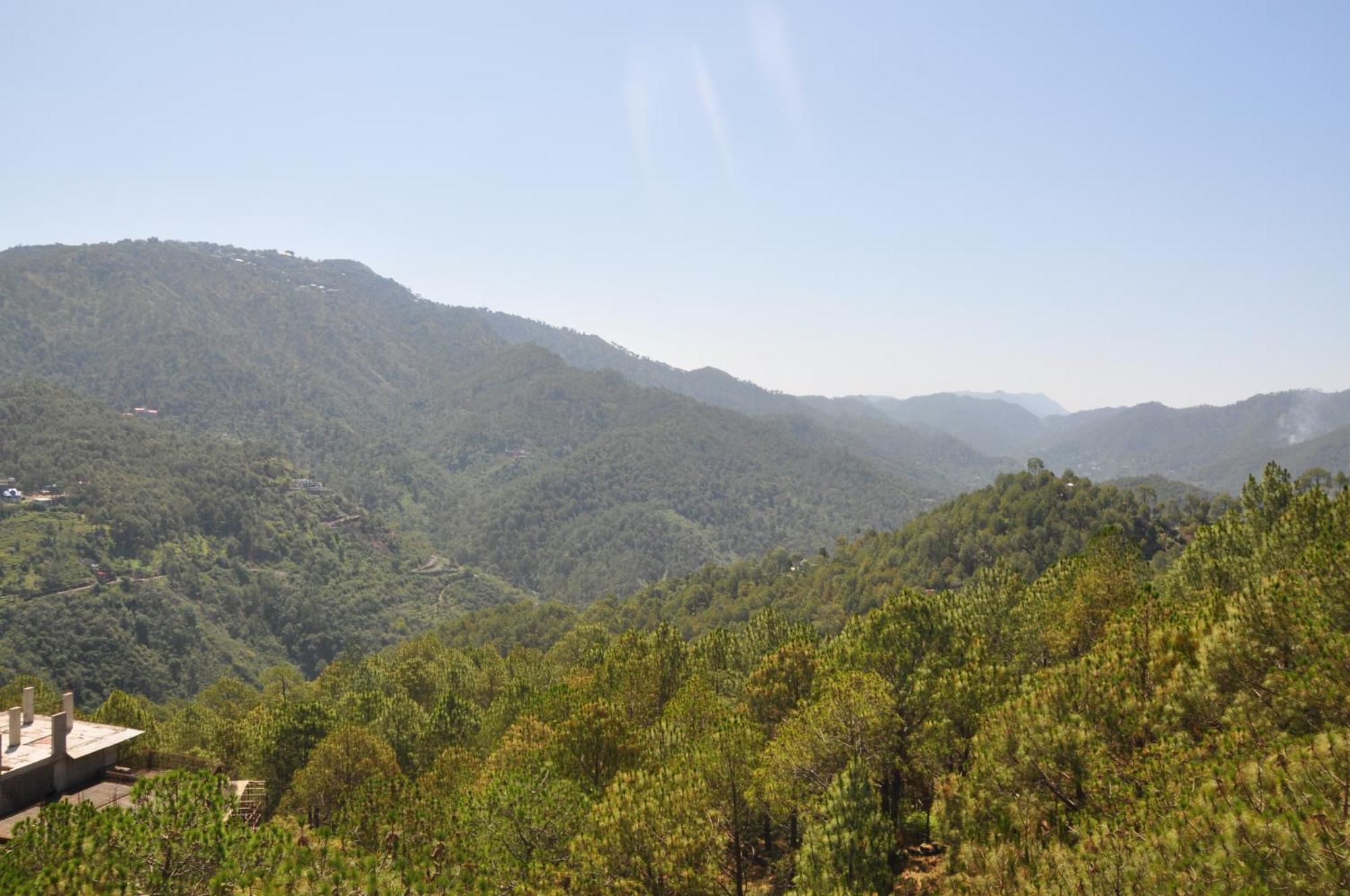Pine Maderas By Embrace Apartamento Kasauli Exterior foto